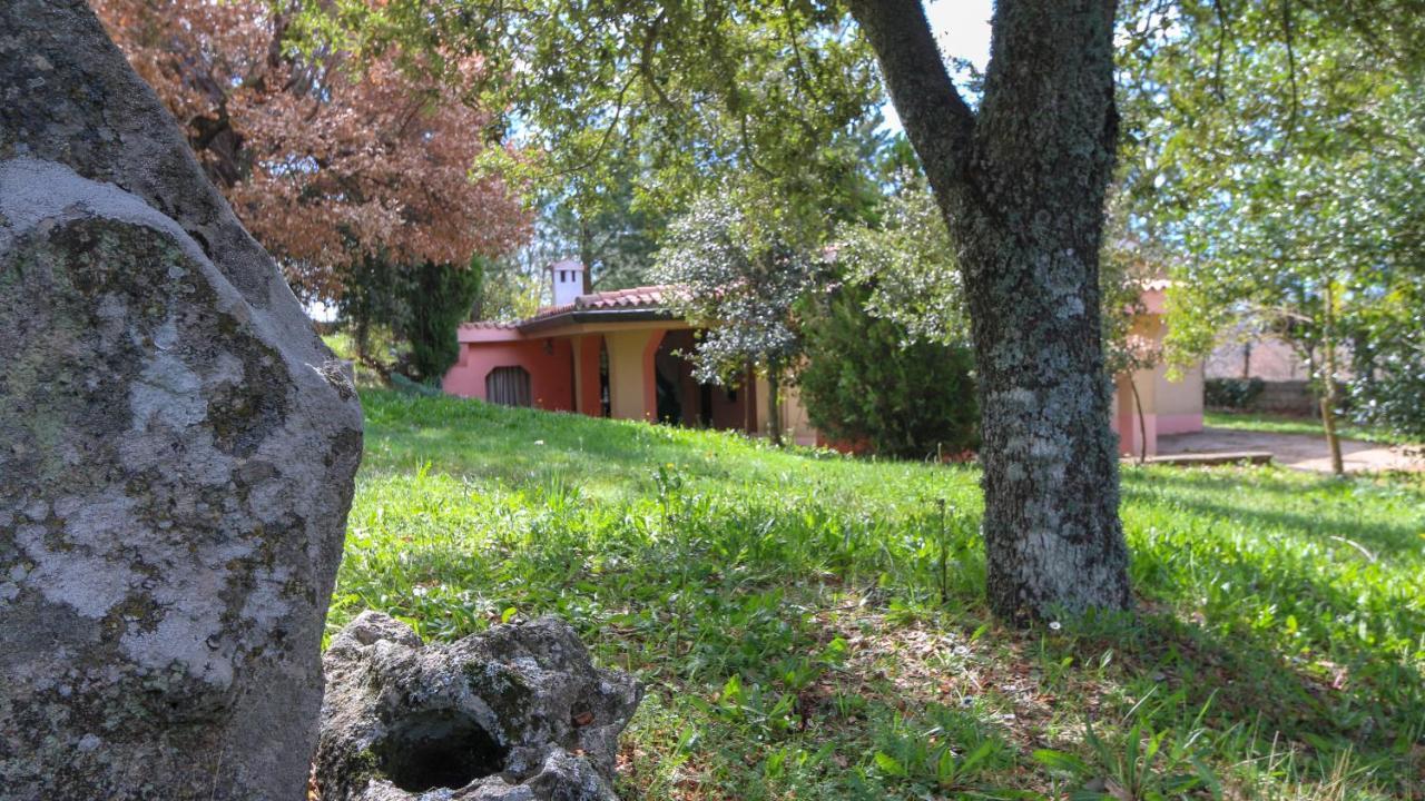 Villa Welcomely - Country House Perda E Testa à Mamoiada Extérieur photo